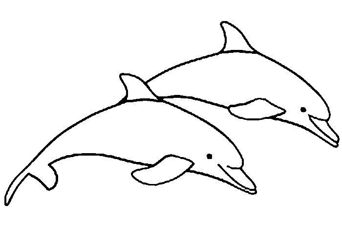 Delfin kolorowanki